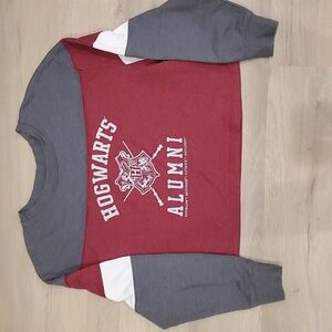 Harry Potter Hogwarts Alumni Varsity Long Sleeve Crop Top
